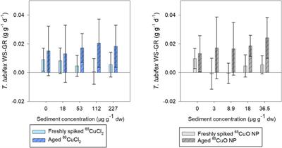 Influence of Aging on Bioaccumulation and Toxicity of Copper Oxide Nanoparticles and Dissolved Copper in the Sediment-Dwelling Oligochaete Tubifex tubifex: A Long-Term Study Using a Stable Copper Isotope